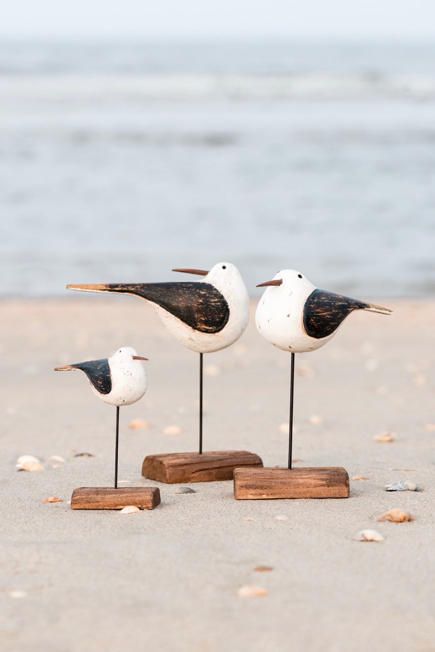 Vogel mit nach hinten gedrehtem Kopf Nautico
