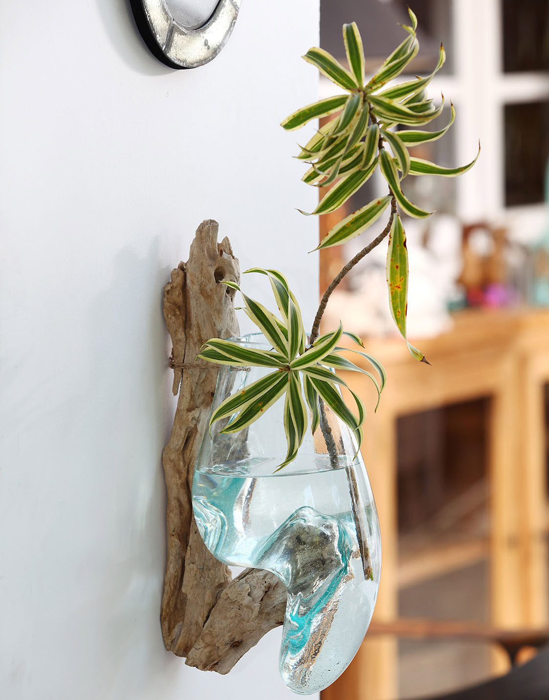 Teakholzwurzel >Waterdrop< Wanddeko mit Dekoglas - 1 Glas