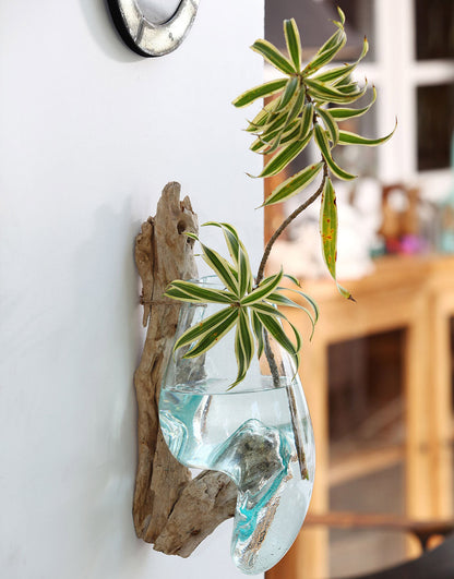 Teakholzwurzel >Waterdrop< Wanddeko mit Dekoglas - 1 Glas